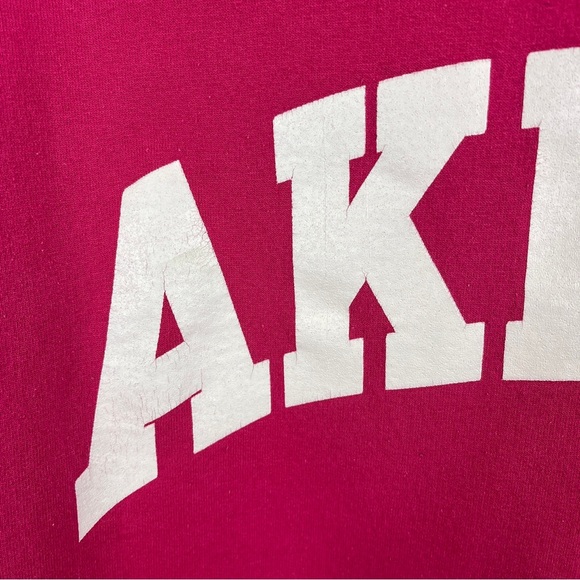 University Akron Zips Roo Pink Size Small Hoodie Sweatshirt Champion Brand - Picture 3 of 12